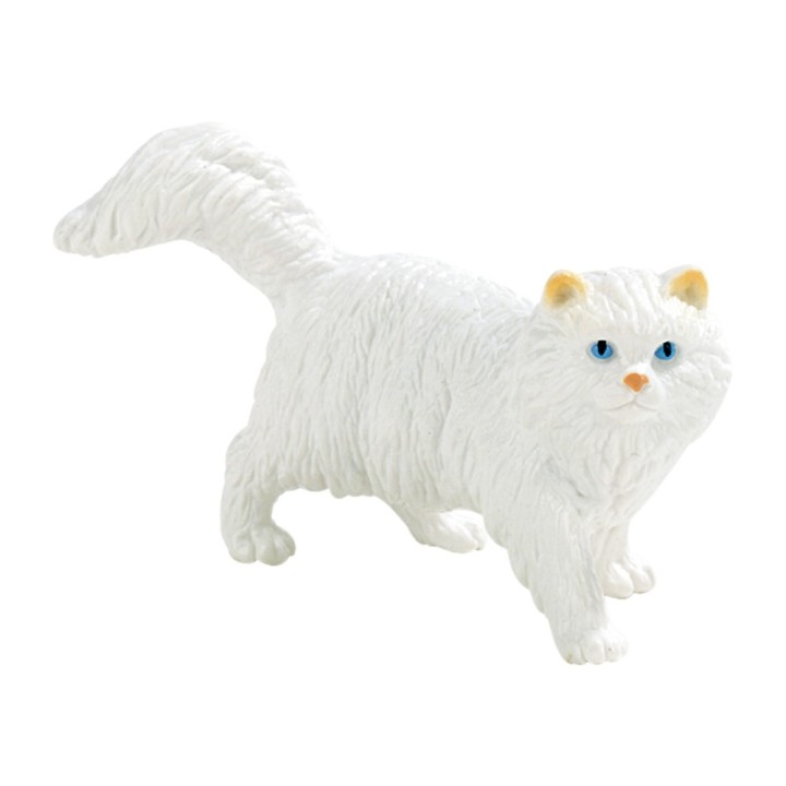 Pisica persana "Princess"