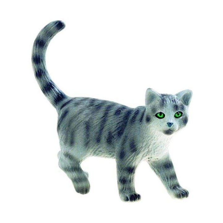 Pisica vargata "Minka"