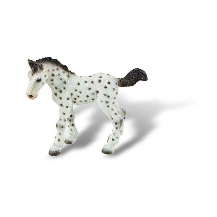 Manz cal Knabstrupper