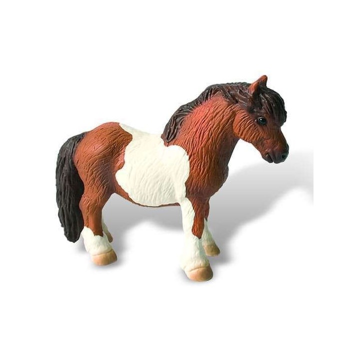 Ponei Shetland