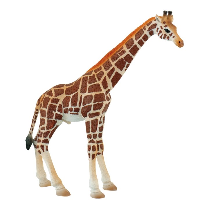 Figurina - Girafa mascul