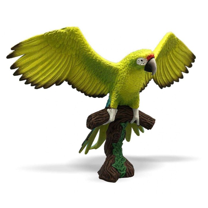 papagal macaw