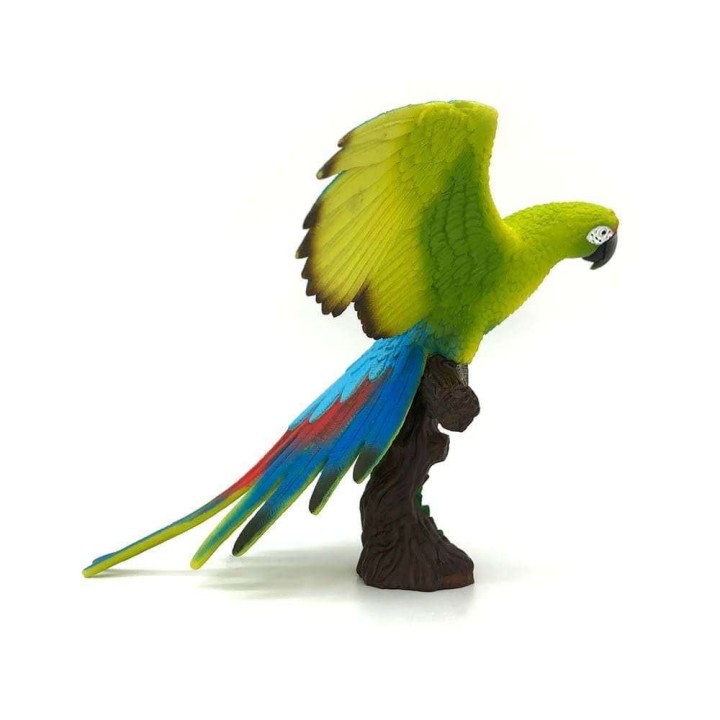 papagal macaw