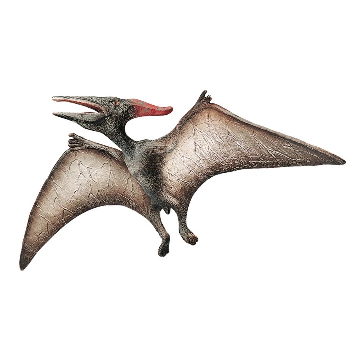 Pteranodon