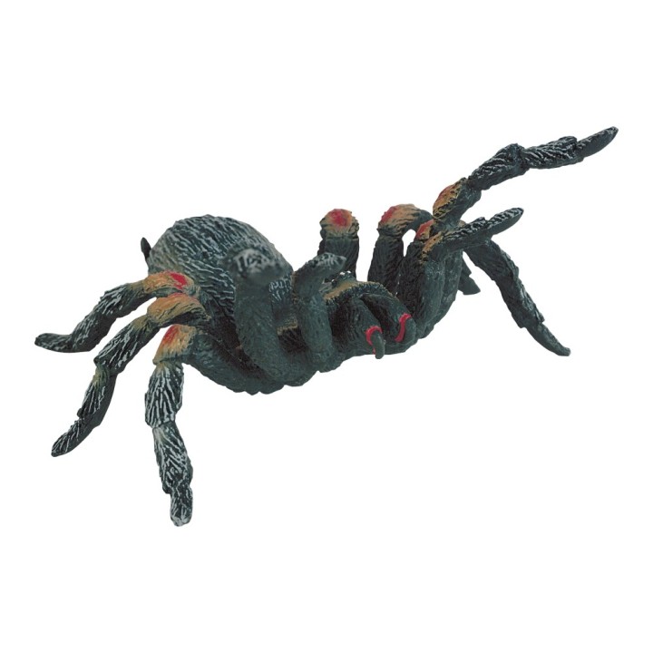 Tarantula