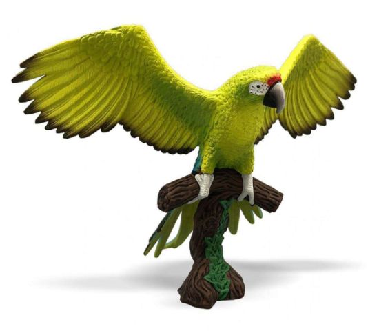 Poza cu Papagal Macaw