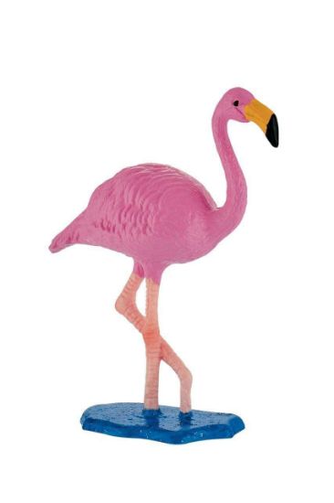 Poza cu Flamingo roz