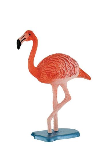 Poza cu Flamingo