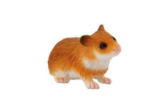 Poza cu Hamster