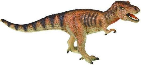 Poza cu Tyrannosaurus