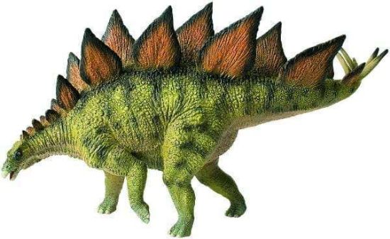 Poza cu Stegosaurus