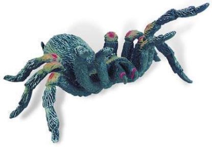 Poza cu Tarantula